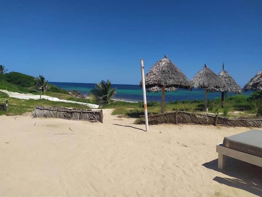 Garoda House Turtle Bay [ Jacuzzi ☆☆☆☆☆ ] Kilifi Watamu Dış mekan fotoğraf
